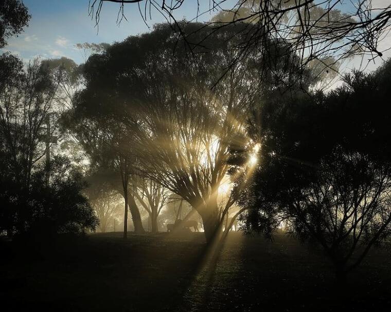 Pecan Hill Bnb Toodyay Екстериор снимка